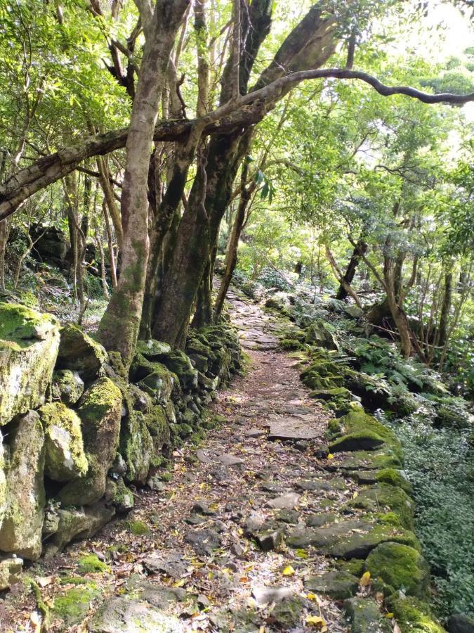 Alojamento Local M&I Lajes das Flores Экстерьер фото